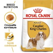 Royal Canin Cavalier King Charles Adult – Croquettes dès 10 mois