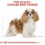 Royal Canin Cavalier King Charles Adult – Croquettes dès 10 mois