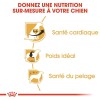 ROYAL CANIN Croquettes Cavalier King Charles Junior sac de 1,5 kg