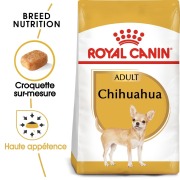 ROYAL CANIN Croquettes pour Chihuahua mini adulte