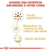 Royal Canin Chihuahua Adult – Croquettes pour Chihuahua dès 8 mois