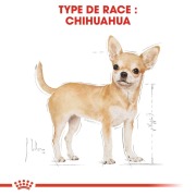ROYAL CANIN Croquettes pour Chihuahua mini adulte