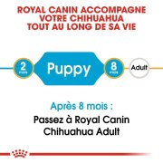 ROYAL CANIN Croquettes Chihuahua puppy