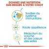 ROYAL CANIN Croquettes Chihuahua puppy 1,5 kg