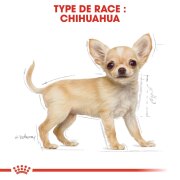 ROYAL CANIN Croquettes Chihuahua puppy