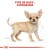 ROYAL CANIN Croquettes Chihuahua puppy