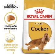 ROYAL CANIN Croquettes Cocker Adult