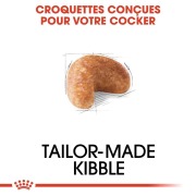 ROYAL CANIN Croquettes Cocker Adult