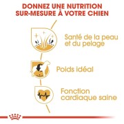 ROYAL CANIN Croquettes Cocker Adult