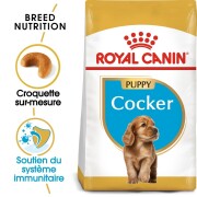 ROYAL CANIN Croquettes Cocker puppy