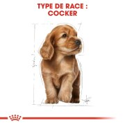 ROYAL CANIN Croquettes Cocker puppy