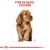 ROYAL CANIN Croquettes Cocker puppy