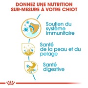 ROYAL CANIN Croquettes Cocker puppy Sac de 3 kg