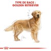 ROYAL CANIN Croquettes Golden Retriever Adult Sac de 12 kg