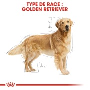 ROYAL CANIN Croquettes Golden Retriever Adult Sac de 12 kg