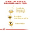 ROYAL CANIN Croquettes Golden Retriever Adult Sac de 12 kg