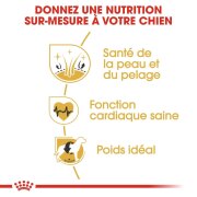 ROYAL CANIN Croquettes Golden Retriever Adult