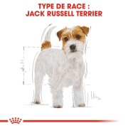 ROYAL CANIN Croquettes Jack Russell Terrier Adult