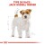 ROYAL CANIN Croquettes Jack Russell Terrier Adult