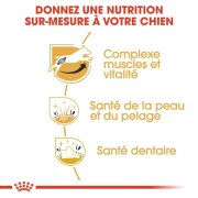 ROYAL CANIN Croquettes Jack Russell Terrier Adult