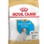 ROYAL CANIN Croquettes Jack Russell Terrier puppy