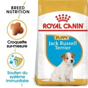 ROYAL CANIN Croquettes Jack Russell Terrier puppy