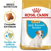 ROYAL CANIN Croquettes Jack Russell Terrier puppy Sac de 1,5 kg