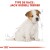 ROYAL CANIN Croquettes Jack Russell Terrier puppy