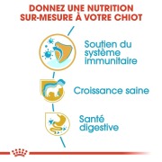 ROYAL CANIN Croquettes Jack Russell Terrier puppy Sac de 1,5 kg