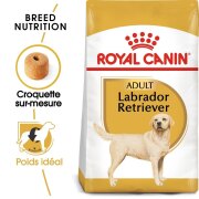 ROYAL CANIN Croquettes Labrador Retriever Adult