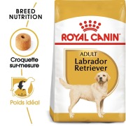 ROYAL CANIN Croquettes Labrador Retriever Adult 12 kg