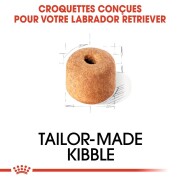 ROYAL CANIN Croquettes Labrador Retriever Adult