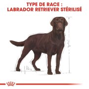 ROYAL CANIN Croquettes Labrador Retriever Sterilised