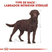 ROYAL CANIN Croquettes Labrador Retriever Sterilised
