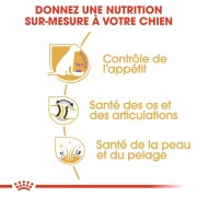 ROYAL CANIN Croquettes Labrador Retriever Sterilised