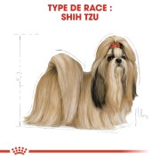 ROYAL CANIN Croquettes Shih Tzu Adult