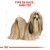ROYAL CANIN Croquettes Shih Tzu Adult