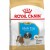 ROYAL CANIN Croquettes Shih Tzu mini Junior