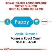 ROYAL CANIN Croquettes Shih Tzu mini Junior 1,5 kg