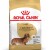ROYAL CANIN Croquettes Teckel Adult
