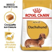 ROYAL CANIN Croquettes Teckel Adult