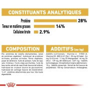 ROYAL CANIN Croquettes Teckel Adult