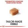 ROYAL CANIN Croquettes Teckel Adult