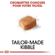 ROYAL CANIN Croquettes Teckel Adult