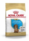 ROYAL CANIN Croquettes Teckel puppy sac de 1,5 kg