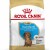 ROYAL CANIN Croquettes Teckel puppy