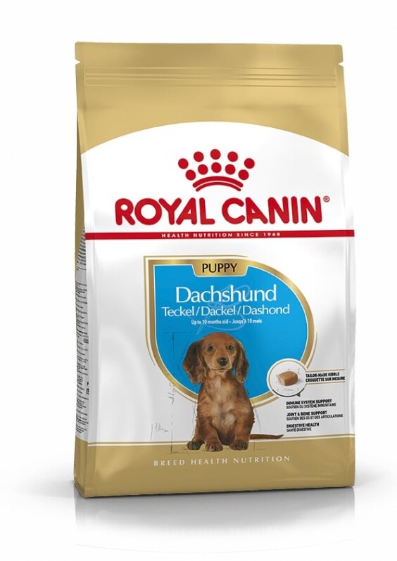 ROYAL CANIN Croquettes Teckel puppy sac de 1,5 kg