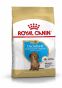ROYAL CANIN Croquettes Teckel puppy sac de 1,5 kg