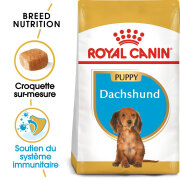 ROYAL CANIN Croquettes Teckel puppy