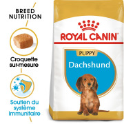 ROYAL CANIN Croquettes Teckel puppy sac de 1,5 kg